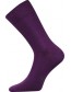 DECOLOR ponožky Lonka, fialová